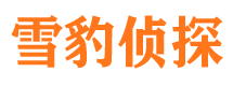 温县找人公司